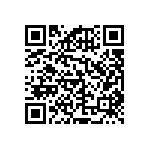 RNCF2512DKE13R3 QRCode