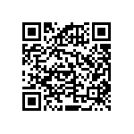 RNCF2512DKE383K QRCode