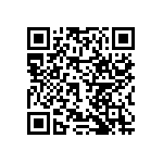 RNCF2512DTC13R0 QRCode