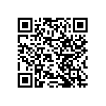 RNCF2512DTC13R3 QRCode