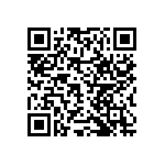 RNCF2512DTC1K91 QRCode