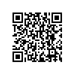 RNCF2512DTC1R13 QRCode