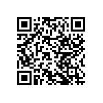 RNCF2512DTC95R3 QRCode