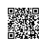 RNCF2512DTE12K1 QRCode