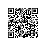 RNCF2512DTE13R3 QRCode