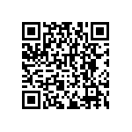 RNCF2512DTE19K1 QRCode