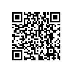 RNCF2512DTE383K QRCode