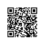 RNCF2512DTE383R QRCode