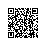 RNR55H3161BSRSL QRCode