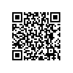 RNR55H6041BSBSL QRCode