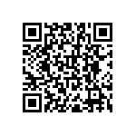 RNR55J1002BSRSL QRCode