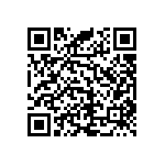 RNR55J1002DPBSL QRCode