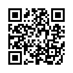 RP1E070XNTCR QRCode