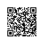 RPE5C1H6R0D2P1B03B QRCode