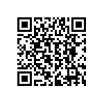 RPE5C2A3R3C2P1B03B QRCode