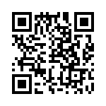 RRG38133300 QRCode