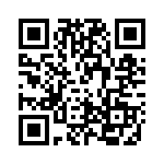 RSA28DTMT QRCode