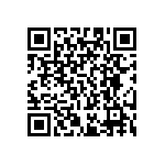 RT0201FRE071K91L QRCode