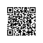 RT1206BRC07124KL QRCode