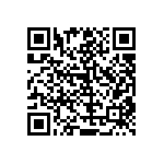 RT1206BRC07300KL QRCode