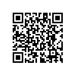 RT1206BRC07300RL QRCode