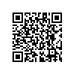 RT1206BRC07309RL QRCode