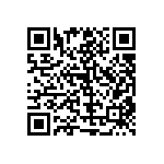 RT1206BRC07402RL QRCode