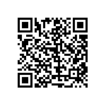 RT1206BRC07432RL QRCode