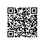 RT1206BRC0743K2L QRCode