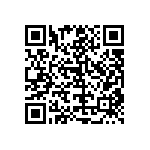 RT1206BRC074K99L QRCode