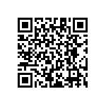 RT1206BRC07866KL QRCode