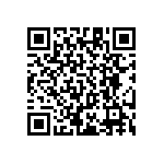 RT1206BRC07866RL QRCode