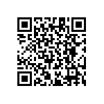 RT1206BRD071K96L QRCode