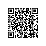 RT1206BRE0714K7L QRCode