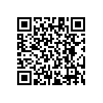 RT1206BRE0716K9L QRCode