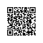 RT1206BRE0724K9L QRCode