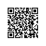 RT1206BRE07300KL QRCode