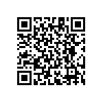 RT1206BRE07402RL QRCode