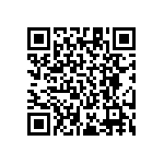 RT1206BRE07953KL QRCode