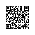 RT1206CRB071K96L QRCode