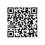 RT1206CRB07402KL QRCode