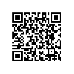 RT1206CRB07453KL QRCode