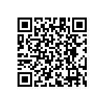 RT1206CRB07487RL QRCode