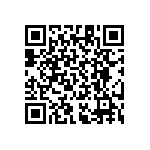 RT1206CRB07619KL QRCode