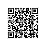 RT1206CRB0776R8L QRCode