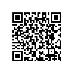 RT1206CRB079K53L QRCode