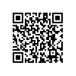 RT1206CRC0717K4L QRCode