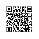 RT1206CRC071K13L QRCode