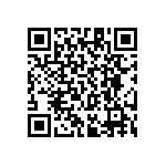 RT1206CRC07249KL QRCode