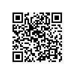 RT1206CRD07300RL QRCode